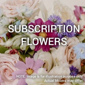 Weekly Cut Flowers